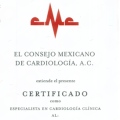 Ampliar imagen: certificate 2