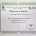 Ampliar imagen: certificate 17