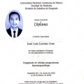 Ampliar imagen: certificate 1