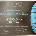 Ampliar imagen: certificate 15