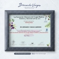 Ampliar imagen: certificate 15