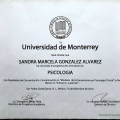 Ampliar imagen: certificate 2