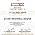 Ampliar imagen: certificate 3