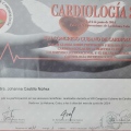 Ampliar imagen: certificate 14