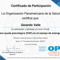 Ampliar imagen: certificate 5