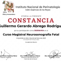 Ampliar imagen: certificate 11