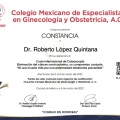 Ampliar imagen: certificate 11
