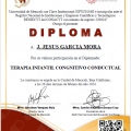 Ampliar imagen: certificate 11