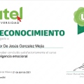 Ampliar imagen: certificate 5