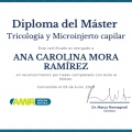 Ampliar imagen: certificate 4