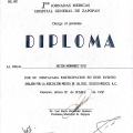 Ampliar imagen: certificate 19