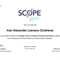 Ampliar imagen: certificate 1