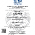 Ampliar imagen: certificate 6
