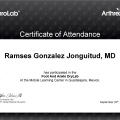Ampliar imagen: certificate 3