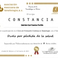 Ampliar imagen: certificate 5