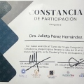 Ampliar imagen: certificate 3
