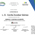 Ampliar imagen: certificate 5