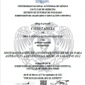 Ampliar imagen: certificate 4