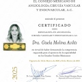 Ampliar imagen: certificate 2