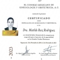 Ampliar imagen: certificate 5