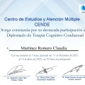 Ampliar imagen: certificate 4