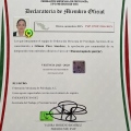 Ampliar imagen: certificate 2
