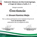 Ampliar imagen: certificate 10