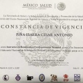 Ampliar imagen: certificate 4