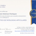 Ampliar imagen: certificate 10