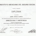 Ampliar imagen: certificate 2