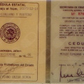 Ampliar imagen: certificate 7
