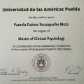 Ampliar imagen: certificate 26