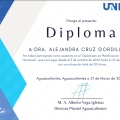 Ampliar imagen: certificate 3