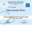 Ampliar imagen: certificate 10