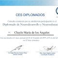 Ampliar imagen: certificate 11