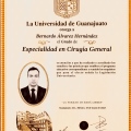 Ampliar imagen: certificate 2