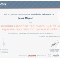 Ampliar imagen: certificate 4