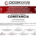 Ampliar imagen: certificate 11