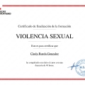 Ampliar imagen: certificate 2