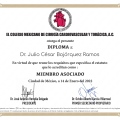 Ampliar imagen: certificate 3