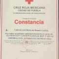 Ampliar imagen: certificate 5