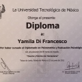 Ampliar imagen: certificate 8