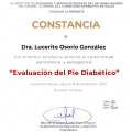 Ampliar imagen: certificate 29