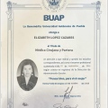 Ampliar imagen: certificate 3