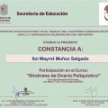 Ampliar imagen: certificate 8