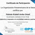 Ampliar imagen: certificate 3