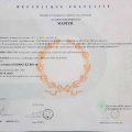 Ampliar imagen: certificate 1