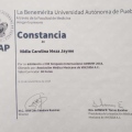 Ampliar imagen: certificate 5