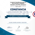 Ampliar imagen: certificate 9