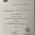 Ampliar imagen: certificate 13